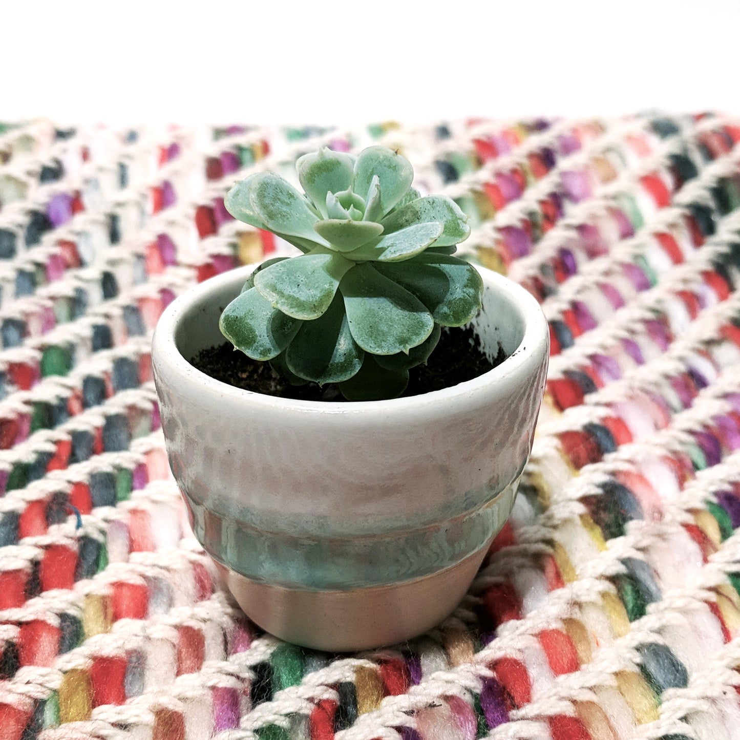 White and Mint Mini Pot - Local Pickup Only